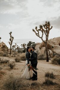 bride and groom in joshua tree