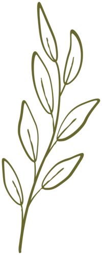 graphic design of a sage herb with organic features