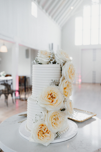 Explore photography packages for weddings, families, seniors & boudoir. Minnesota photographer capturing true-to-life, fun, and timeless memories.