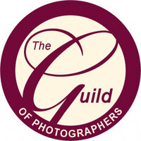 member of The Guild of Photographers