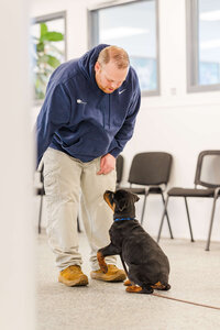 Trainer practicing recall with a Rottweiler puppy indoors as part of a Dogology University training session