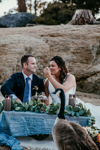 Bride and groom share a meal at a styled picnic table on the beach, with a curious goose standing nearby.