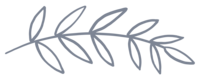 Leaf branch illustration
