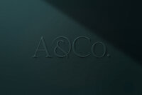 Abalone and Co - graphics7
