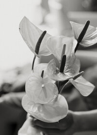 Dreams Bahia Mita Surf and Spa Wedding in Puerto Vallarta, Mexico