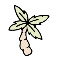 Palm Tree Icon
