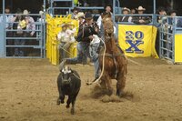 Professional cowboy Nate Baldwin competing while wearing a CTi brace.
