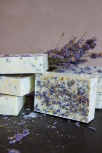 diy lavender soap