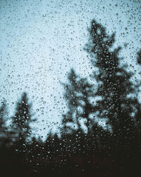 Rain drops on golf course with trees in the background
