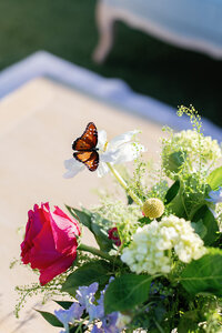 Butterfly on a spring wedding flower arrangement