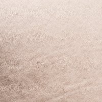 MS Albums LEATHER_0000s_0002_champagne