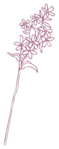 Abby Grace Florals flower icon