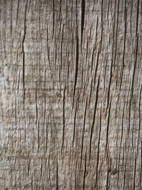 wood texture