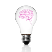 A light bulb with a thriving peony inside, symbolising subconscious healing, growth and moments of insight with a personalised brainspotting treatment plan