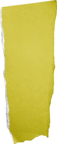 Torn Label Paper Green