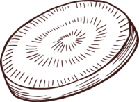 Simple kiwi illustration