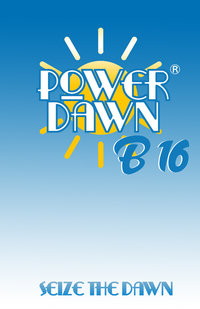 Power Dawn Logo Alternate