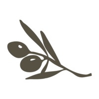 Olive branch