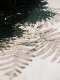 CJK_NorthIsland-13
