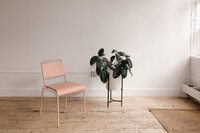 Peaceful Plant and Chair in Nice Setting