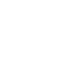 Doves Icon
