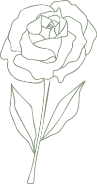 drawing of a rose outlined in green