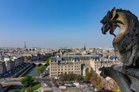 view of Paris from Notre-Dame