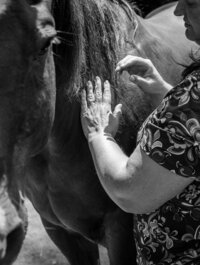 Woman's hand on horse's neck during bodywork