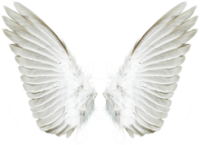 vippng.com-transparent-wings-png-919625