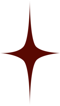 Élément graphique issue de l'identité visuelle de Fenicia Studio, il représente une étoile en référence aux marques du secteur culturel qu'elle aide à faire briller.