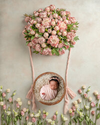 Fayetteville newborn Photography studio