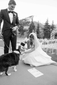 Dog signs marriage license after bride and groom get married in vail, colorado