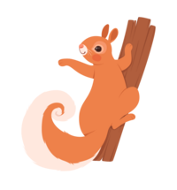 squirrel-climbing-08