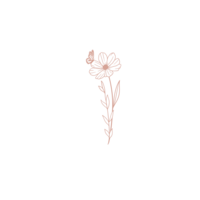 Branding element designed by Twenty7 Daisies