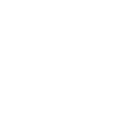 Queen of Kinks Service Disabled Veteran Owned Small Business icon.