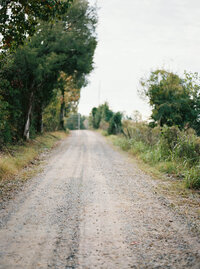 an open gravel road with green trees on either side