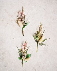 An elegant flat lay of floral boutonnières by Anna Laero, a wedding Photographer in Pittsburgh PA.