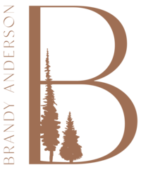 Brandy Anderson Weddings and Portraits logo