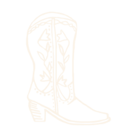 cowboy boots