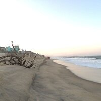 Driftwood at dusk on the Outer Banks beach, shown in the Xanthe Bookkeeping website footer.