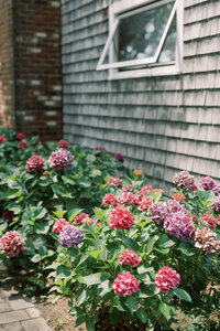 Garden_Social-Squares_Styled-Stock_01337-scaled