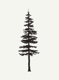 A black small tree