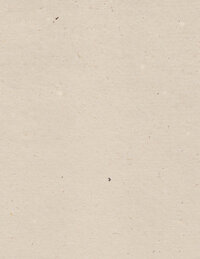 tan texture