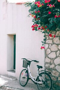 photo of bike and flowers by copywriter for your small business