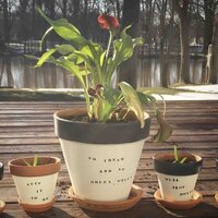 three flower pots lined up