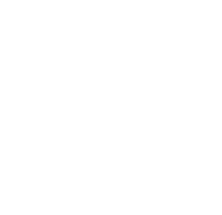 Hand drawn illustration of a leafy branch