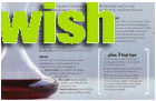 Wish Magazine - Joey Shulman