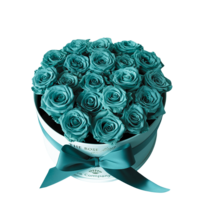 Stylish Turquoise Roses in Audrey Star Template Representing Grace and Charm