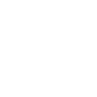 palm tree