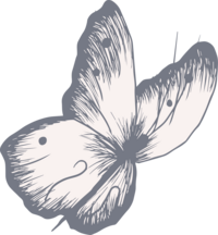 butterfly element